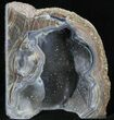 Dugway Geode Bookends - Sparking Crystals #33197-1